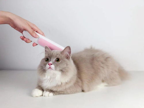 活性炭猫砂对猫咪的副作用