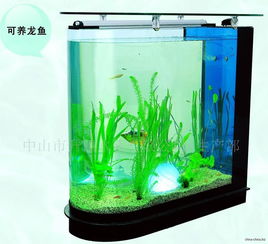 生态鱼缸用不用活性炭