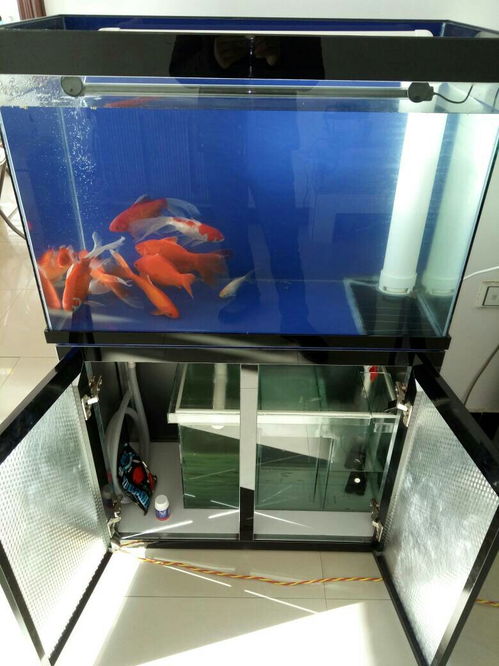 底滤鱼缸活性炭放在哪个槽