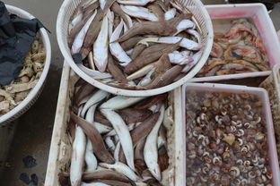 海鲜池活性炭使用方法