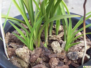 自制活性炭空气过滤器