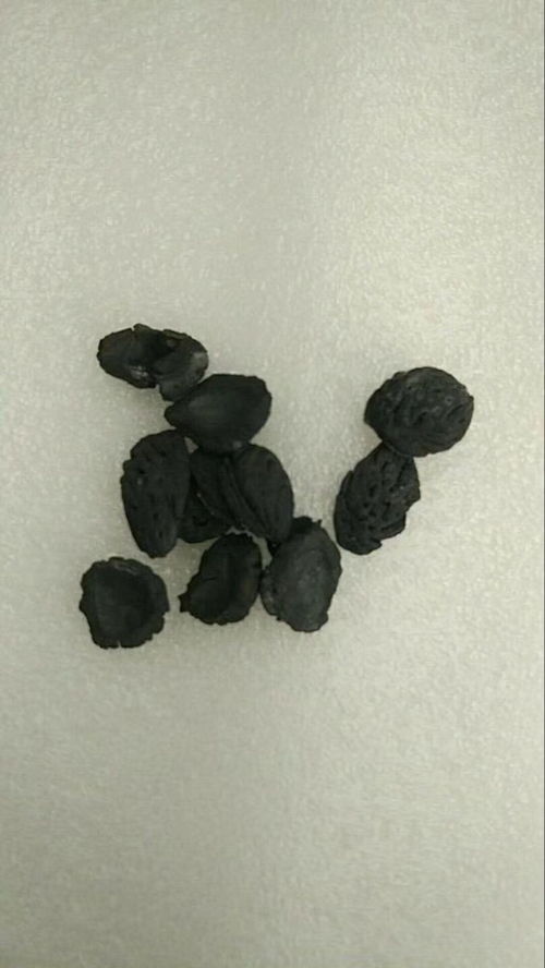 活性炭生产厂家排名前十
