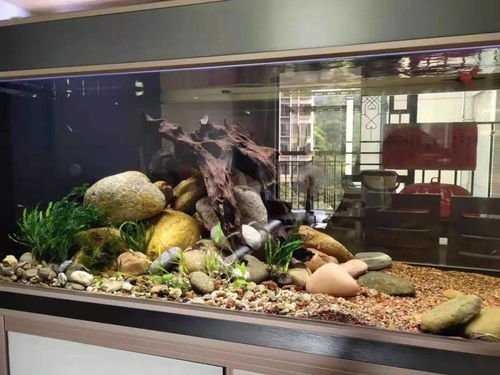 鱼缸活性炭能延长换水周期吗