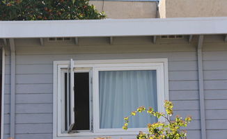 颗粒活性炭和后置活性炭的区别