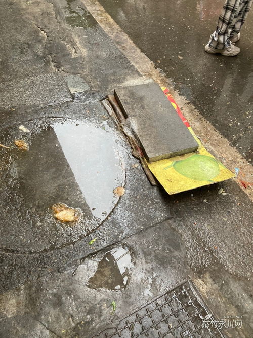 吸附臭气的活性炭是危废吗