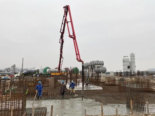 丙烷脱氢用活性炭