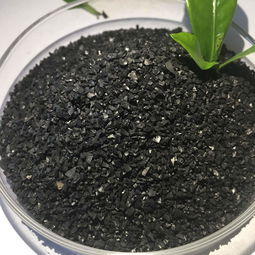 药用活性炭的作用与功效