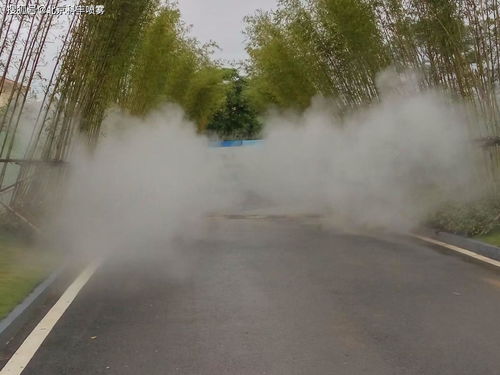 用过的活性炭怎么处理