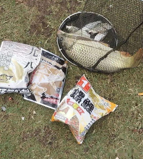 做鱼饵不用活性炭吗