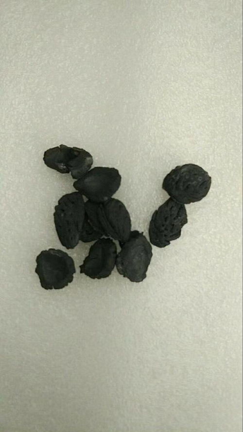 活性炭放鱼缸里对鱼有没有危害