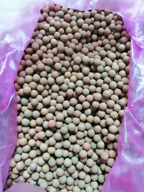 食用活性炭的用途有哪些
