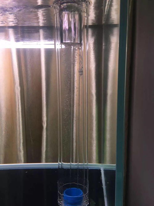 鱼缸过滤可以用活性炭吗