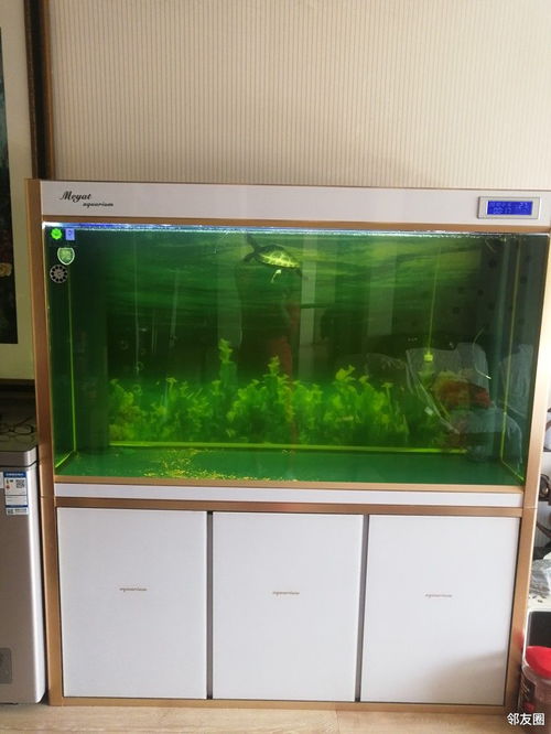 鱼缸过滤可以用活性炭吗