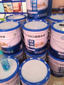 晨阳水漆竹炭三合一有哪些功能