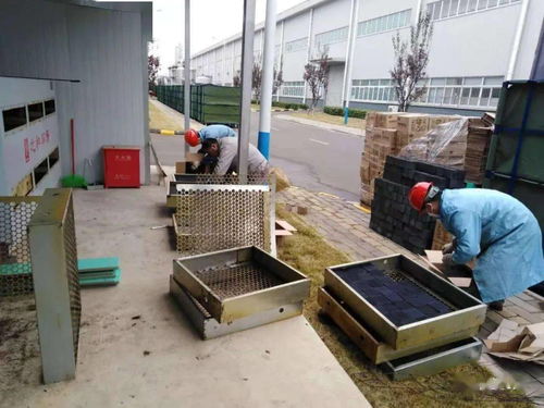 767针用炭国家标准
