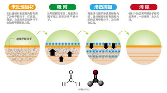 怎么用活性炭去除室内异味