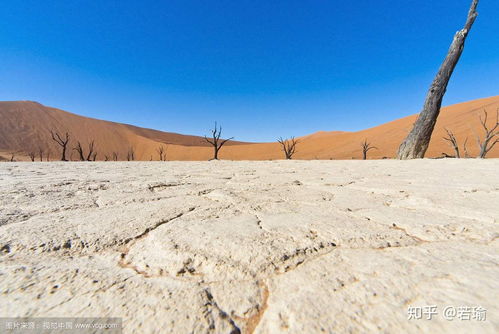 中国治理了几个沙漠了