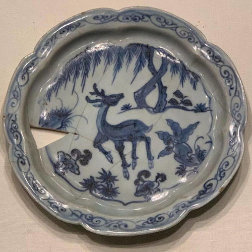 景德镇触媒载体专用活性炭