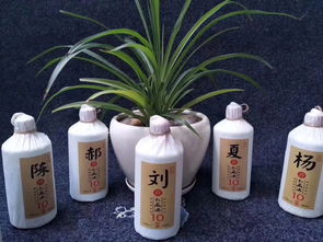 外理酱香型白酒专用活性炭