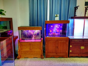 鱼缸过滤可以用活性炭吗