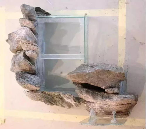 原生缸造景要用活性炭么