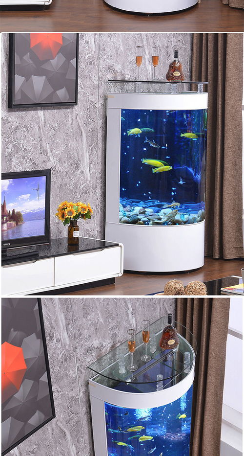 家用活性炭鱼缸制作