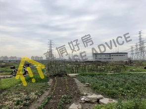 活性炭是固废还是危废