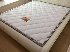 新床垫要用活性炭吗