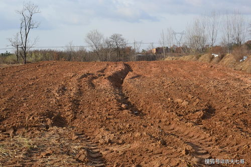 失效活性炭是否可以改良栽培土壤