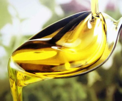 如何用活性炭给食用油脱色