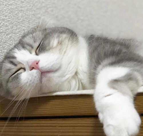 不用了的活性炭能干什么