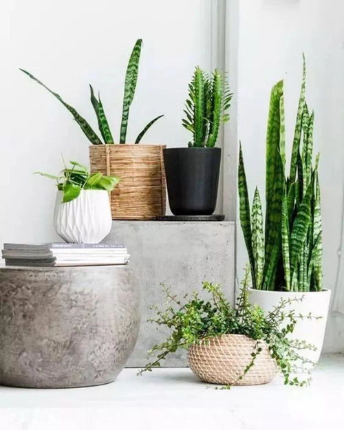 使用过的活性炭如何再次利用