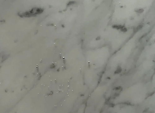 禁用活性炭洗胃