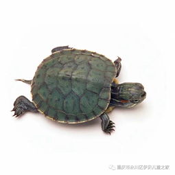 使用过的活性炭如何再次利用