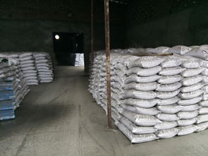 碱性药用活性炭