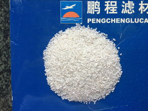 福克斯活性炭罐具体位置