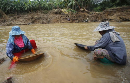 在河道里用活性炭能吸附黄金吗