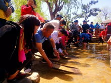 河里用活性炭淘金