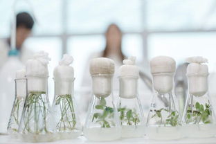 怎么样用活性炭消除甲醛