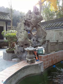 鱼池活性炭放在哪一层过滤