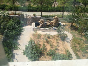 冬天鱼池能不能用活性炭