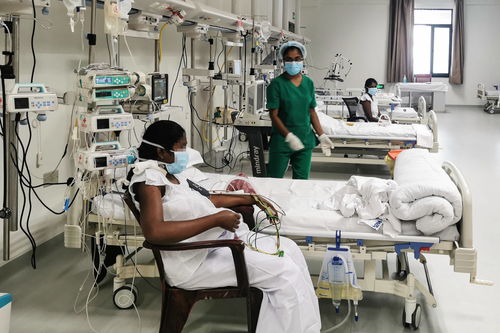 活性炭养花为什么花死了