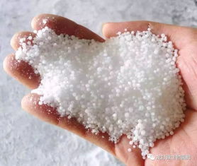 尿素厂要用活性炭吗知乎