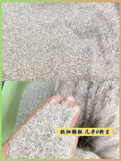 n1的猫砂玉米好还是活性炭好