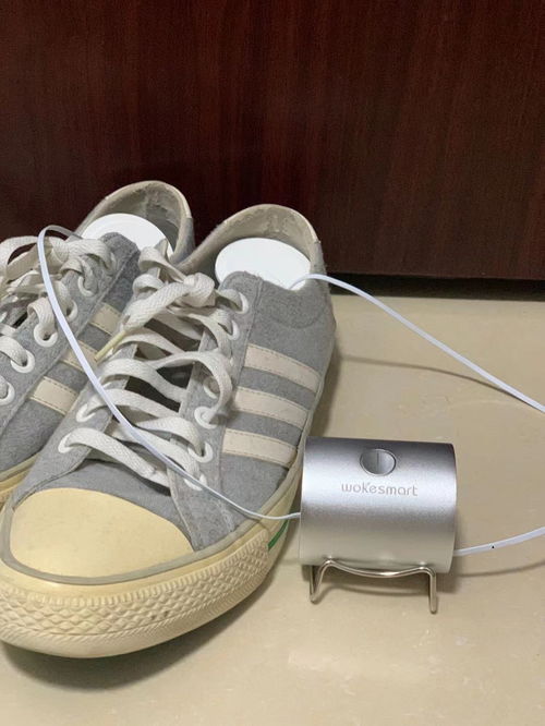 鞋子的臭味能用活性炭吸附吗