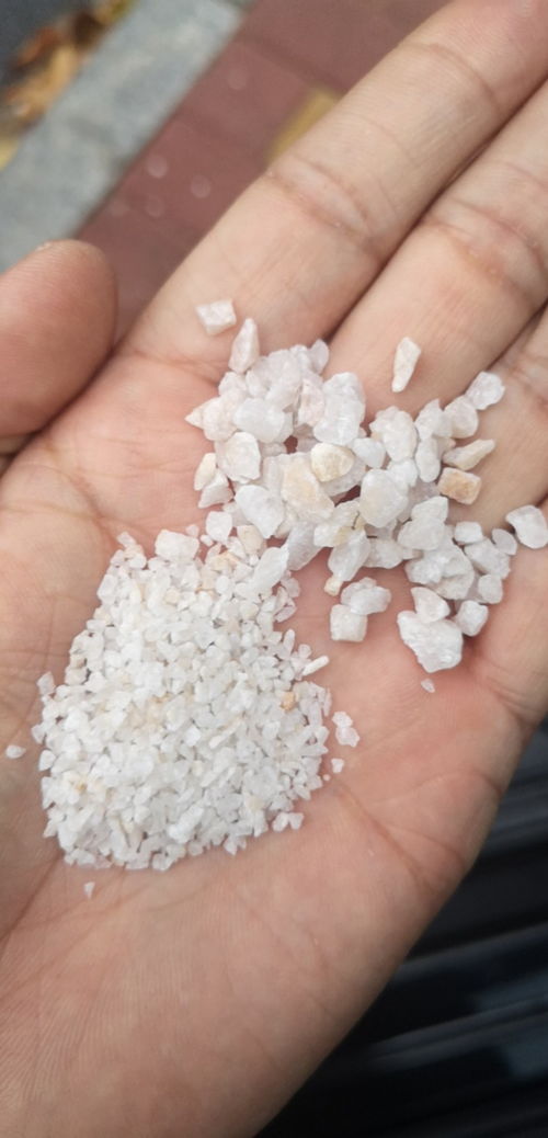 活性炭价格多少钱一吨,价格一览表