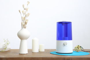 用活性炭可以开加湿器吗