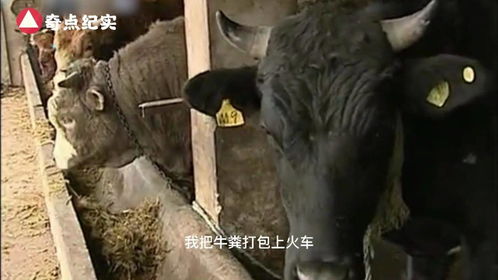 工业用活性炭如何使用