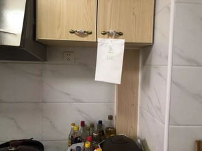 活性炭和生石灰哪个除湿效果好