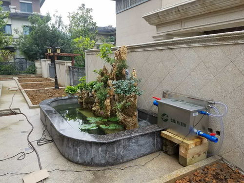 鱼池需要用活性炭吗吗